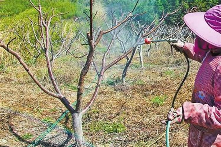 ...厨余垃圾,还有各种果皮,烂菜叶怎么制作水溶肥