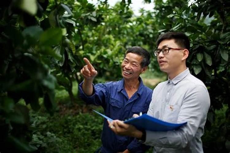 叶面肥10大品牌