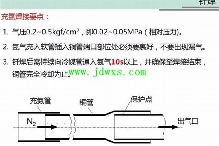 藏红花开花后要把花摘掉吗