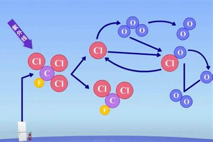 杨梅采果后喷什么药最有效