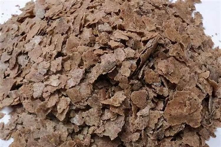 氮肥为主的有机肥是什么肥料