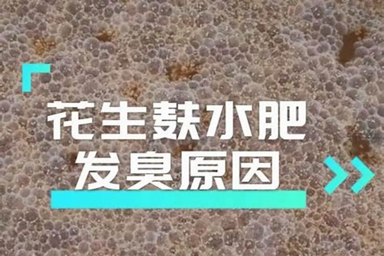 桔子怎么种更更甜