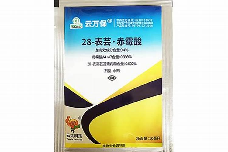 多肉植物上出现白斑怎么办？