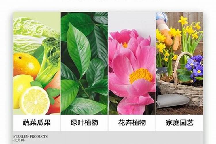 氨态氮肥、铵态氮肥、硝态氮肥、硝铵态氮肥、氰氨态氮肥和酰胺态氮肥...