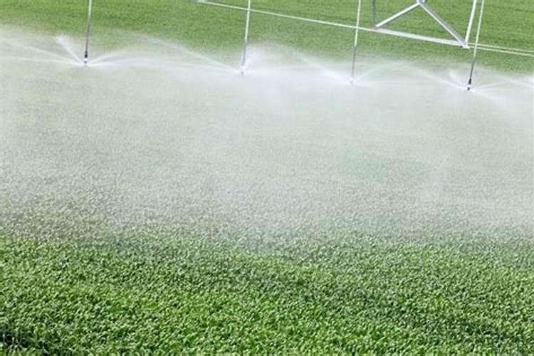 鉴别磷肥和钾肥的简易方法