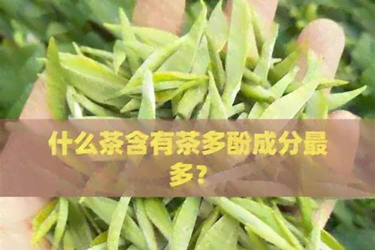 红茶可以浇绿萝吗