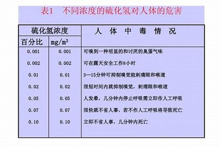 大葱叶面喷13元素好还是24元素好