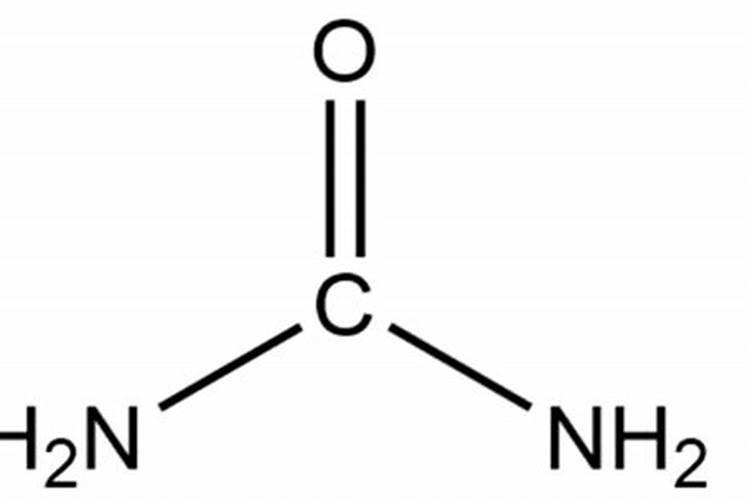 尿素喂牛的正确方法,附注意事项