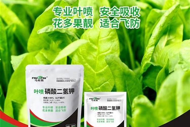 梨怎么用磷酸二氢钾施肥
