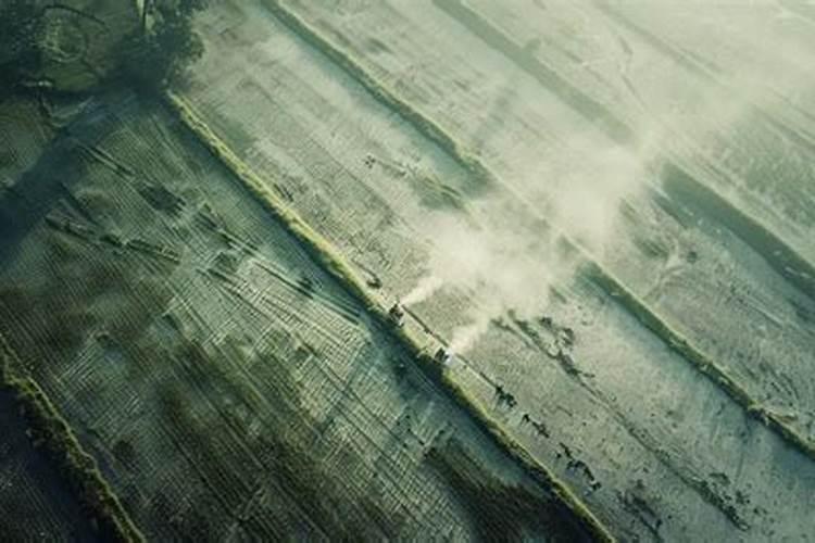 喷完茄子黄萎药,5天能碰磷酸二氢钾吗