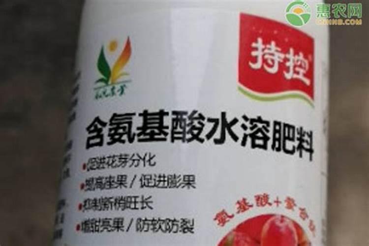 种豌豆尖的十大忠告