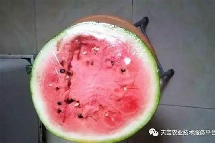 西瓜皮变得厚是怎么造成的