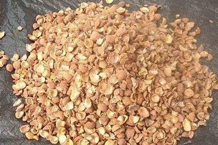 核桃壳能做肥料养花吗