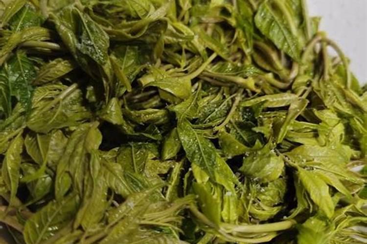 香椿需要什么肥料