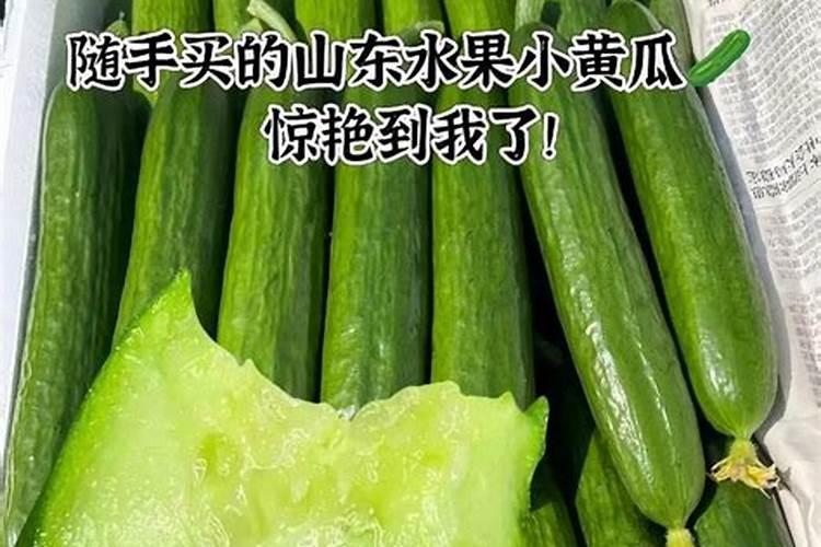种黄瓜用什么底肥