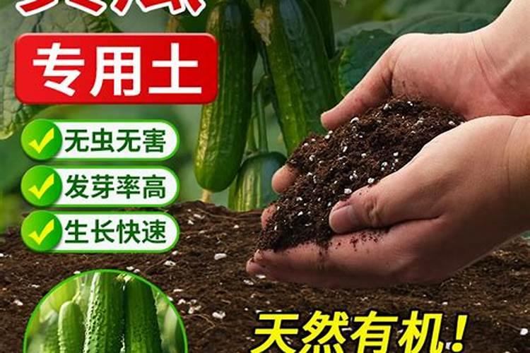 ...还有就是种植黄瓜是偏酸性土壤还是碱性土壤
