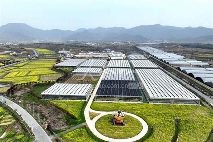 叶面肥厂家哪个做的最好？