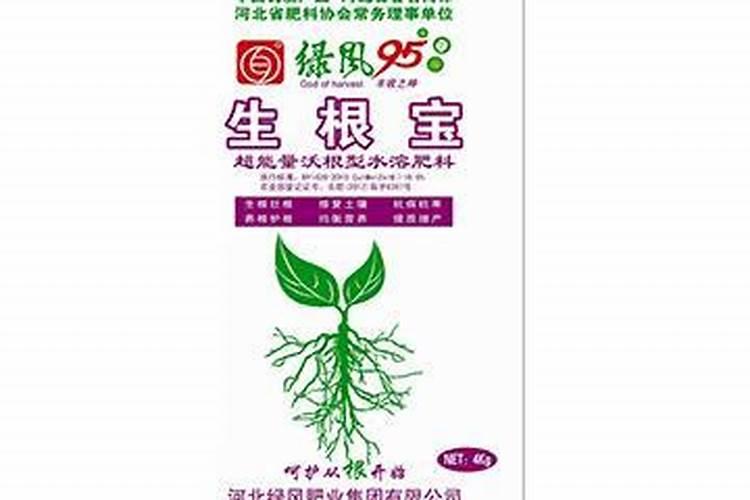 生根剂水溶肥叶面喷施效果会好吗