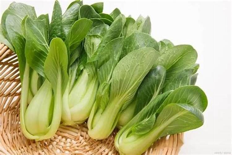 微肥木醋液哪个品牌好