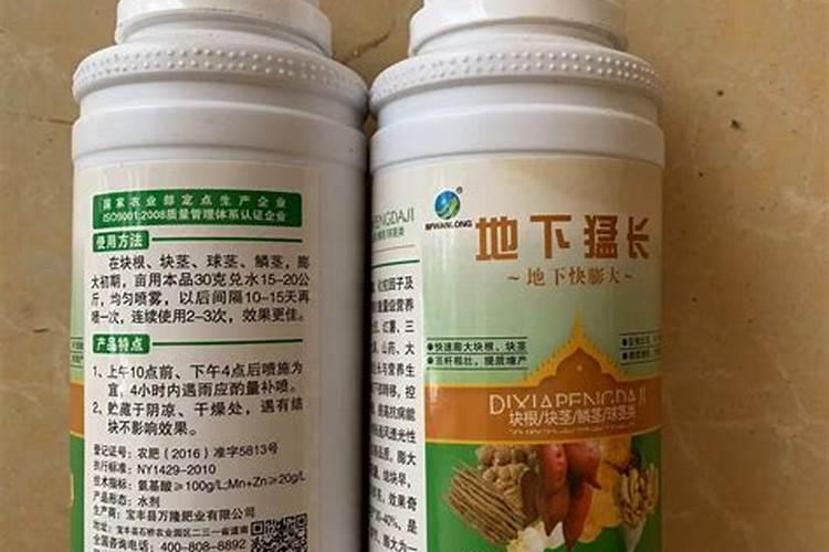 如何选择魔芋种子？