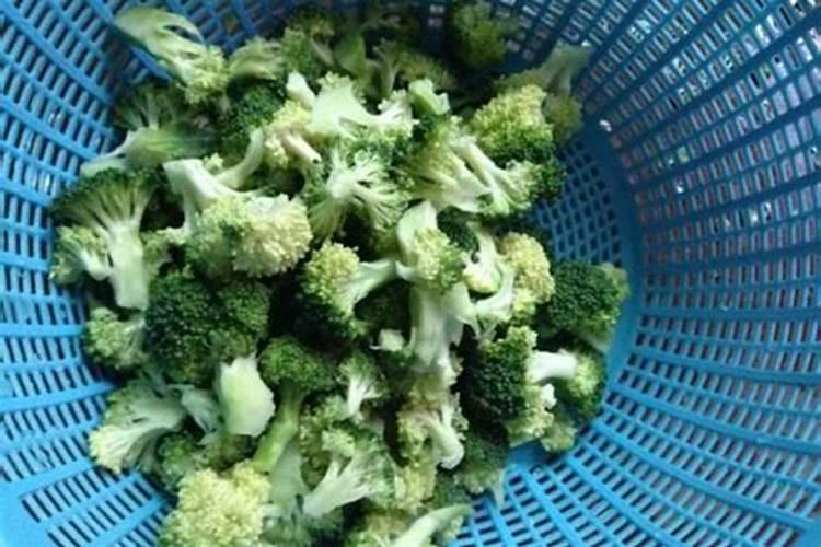 怎样做菜花鱼好吃又简单