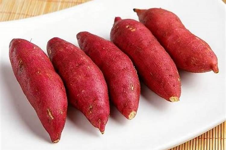 种红薯用什么底肥料最好