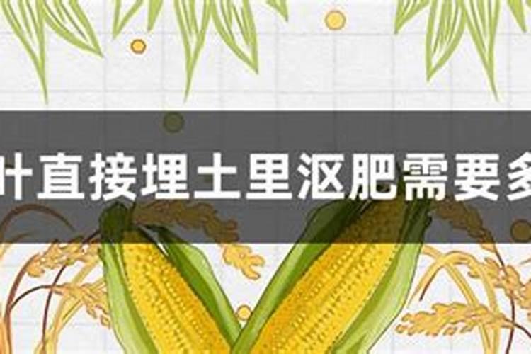 鱼肠怎么沤肥,多久可以腐烂？