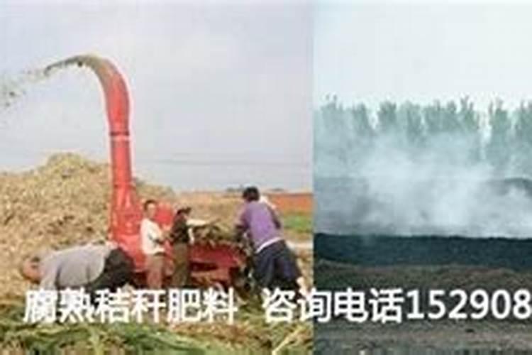 臭鸡蛋怎么沤肥