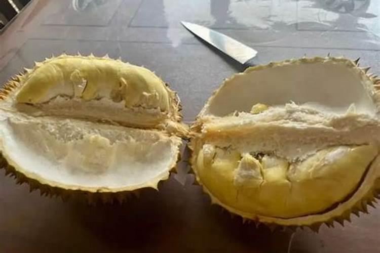 螃蟹壳能做肥料养花吗螃蟹壳怎么快速沤肥