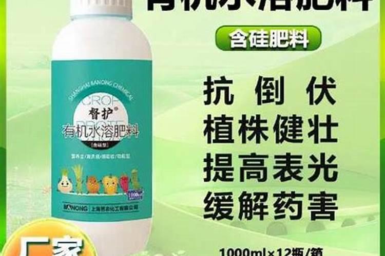 硅肥对草莓喷好还是灌根好