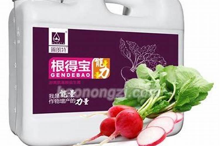 国光根宝使用方法