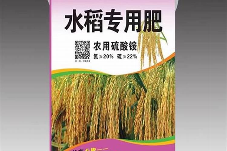 槟榔用什么水肥比较好