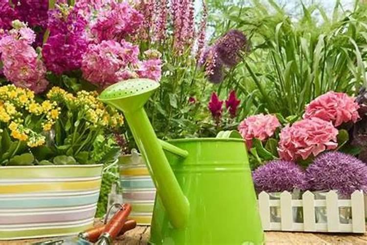 给花施肥后多久浇水 花施肥后几天浇水最合适？