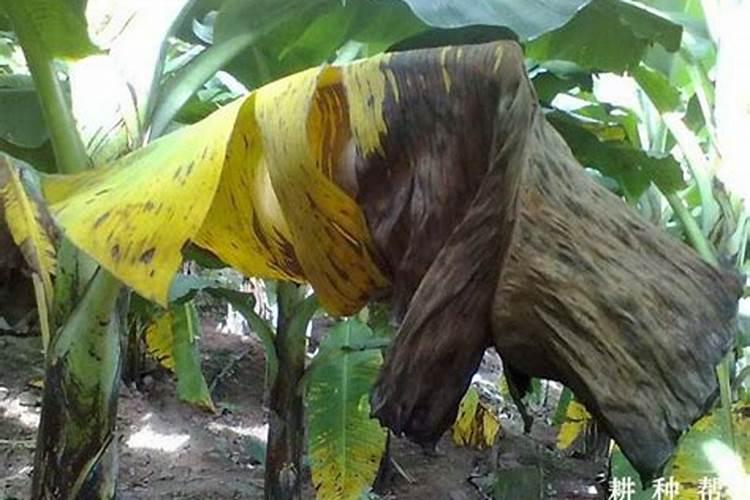 如何解除心结？