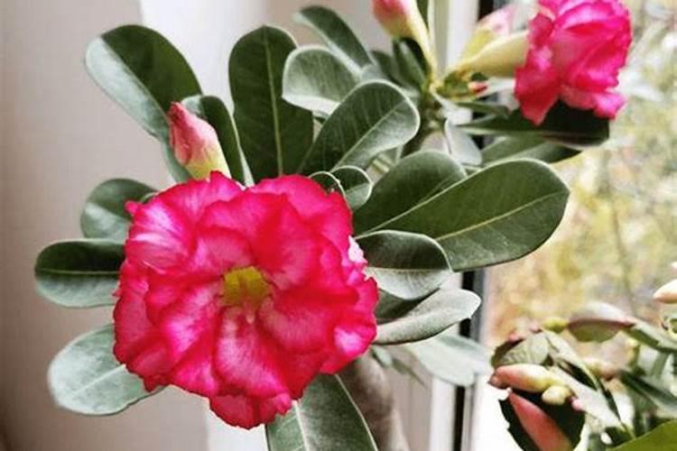 水容肥给果树多久施肥一次