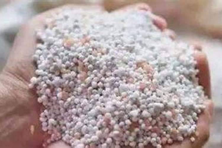 如何分辨化肥的真假？