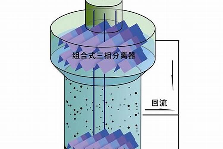 水培白掌怎么养才能更旺盛？水培白掌的技巧有哪些