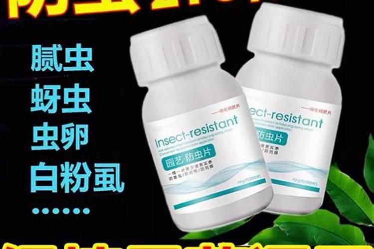 葡萄二次膨果最佳时间