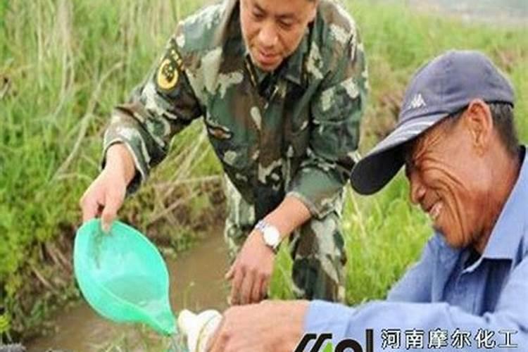 农民使用的化肥老三样是指什么