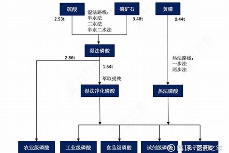 种水稻为什么要重视施用磷肥？