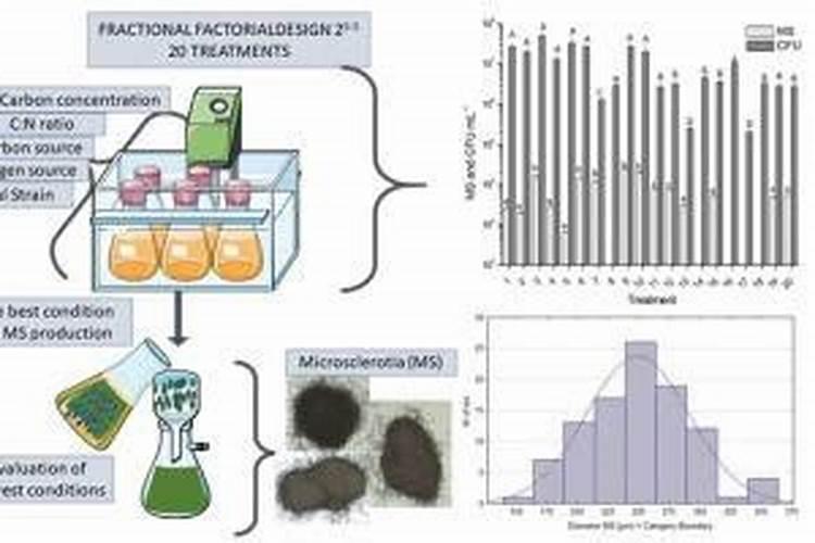 菜籽饼,过磷酸钙,碳酸氢铵,人尿,这四种物料可以混到一起发酵吗