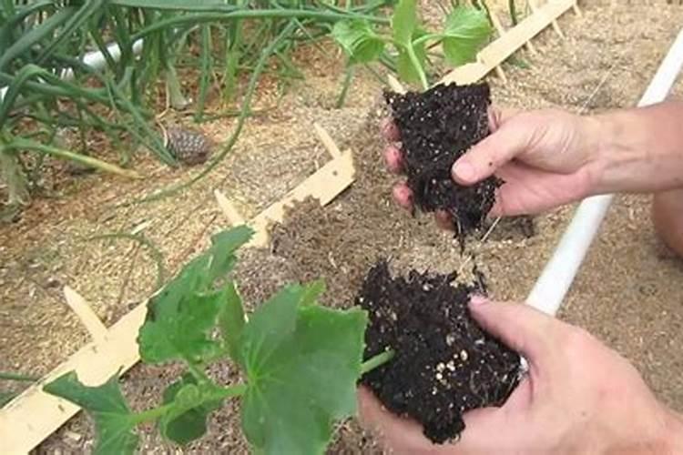 钾肥多了怎么挽救