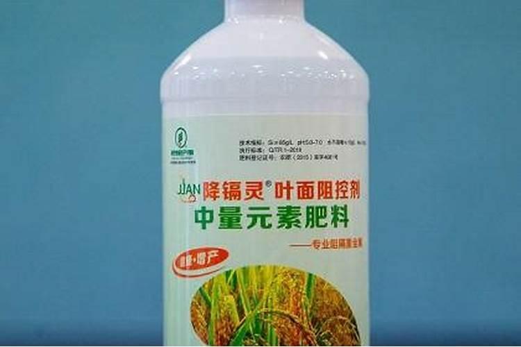 硅肥硅肥的十大作用