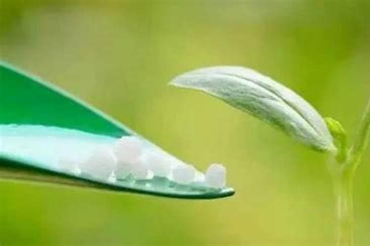 氯化钾是钾肥吗 化肥氯化钾的作用与功效