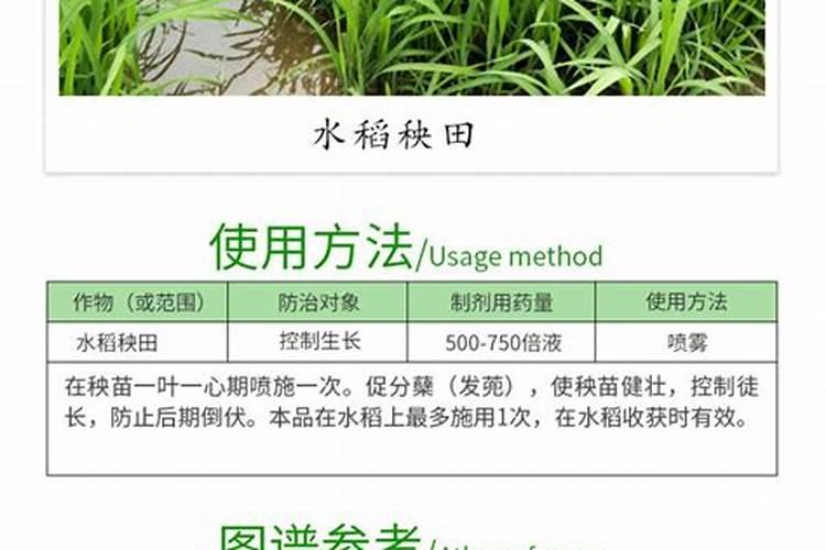 磷酸二氢钾控旺的害处