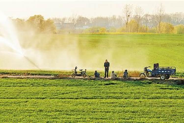 小麦追肥的最佳时期在什么时候