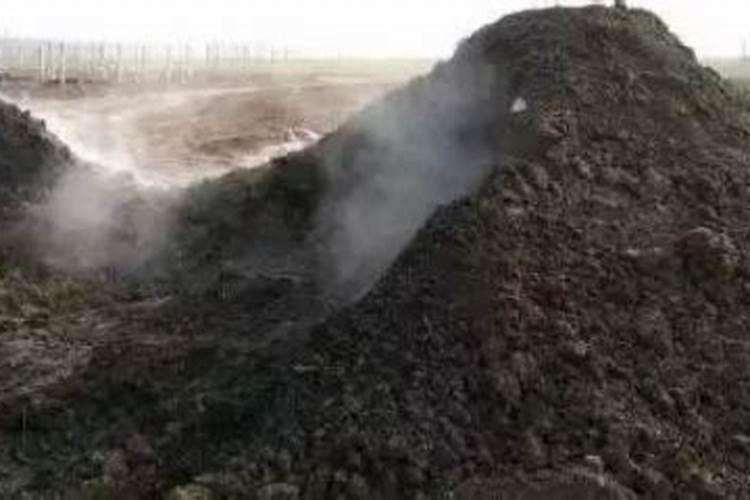 南瓜忌什么肥料