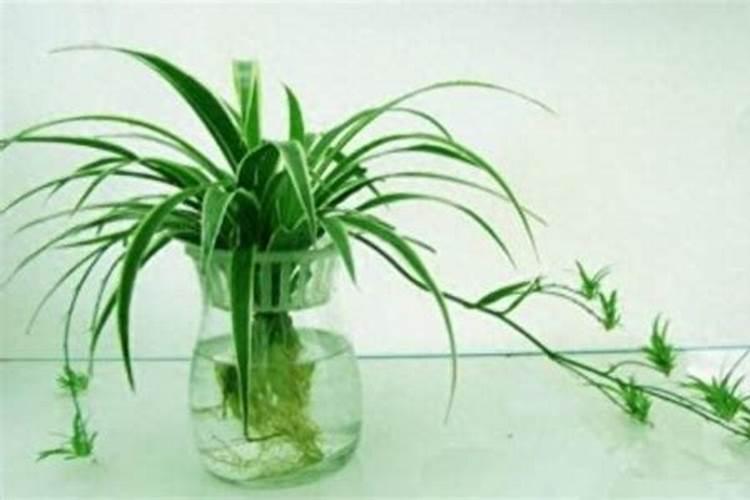 假设一发炮弹100元,是不是99元都花在引信上了？