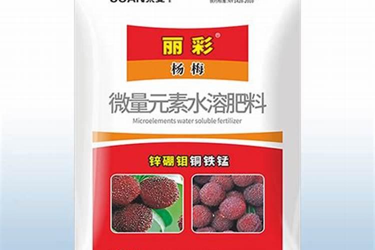 杨梅施什么肥料好