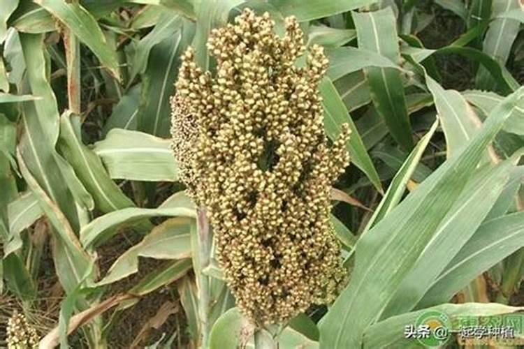 美沃门窗是几线品牌 门窗品牌十大名牌